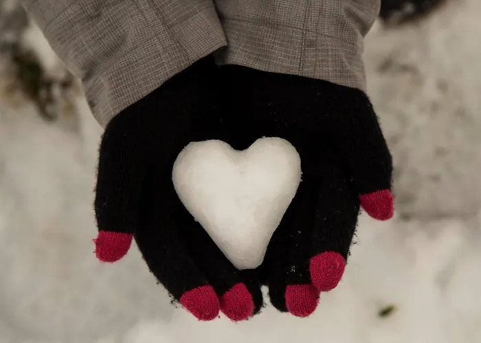 Leman By Snow Retreat Catered * كورشوفيل