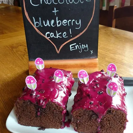 Hotel Leman By Snow Retreat Catered